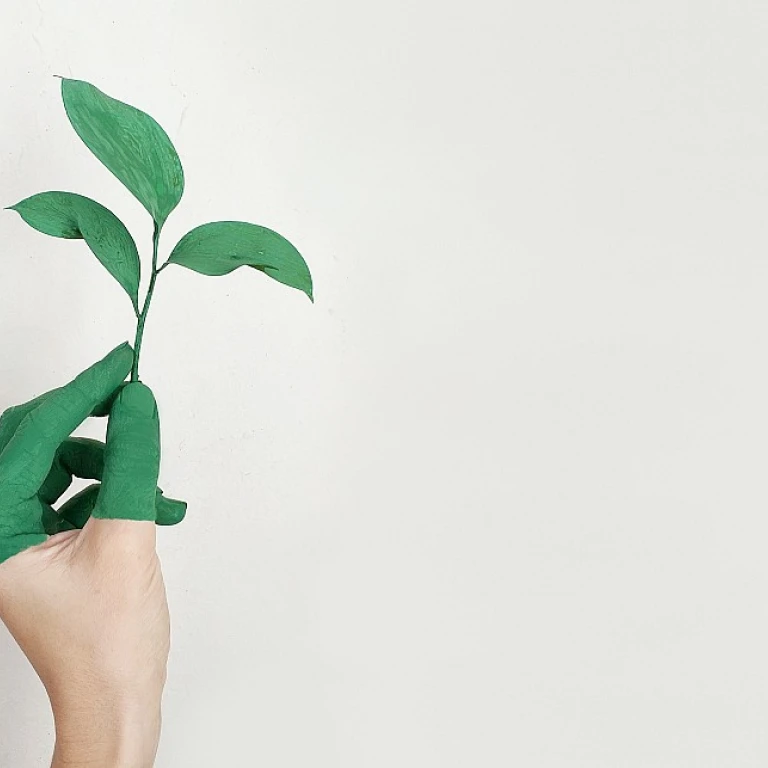 Unveiling the Role of Social Media Agencies in Design