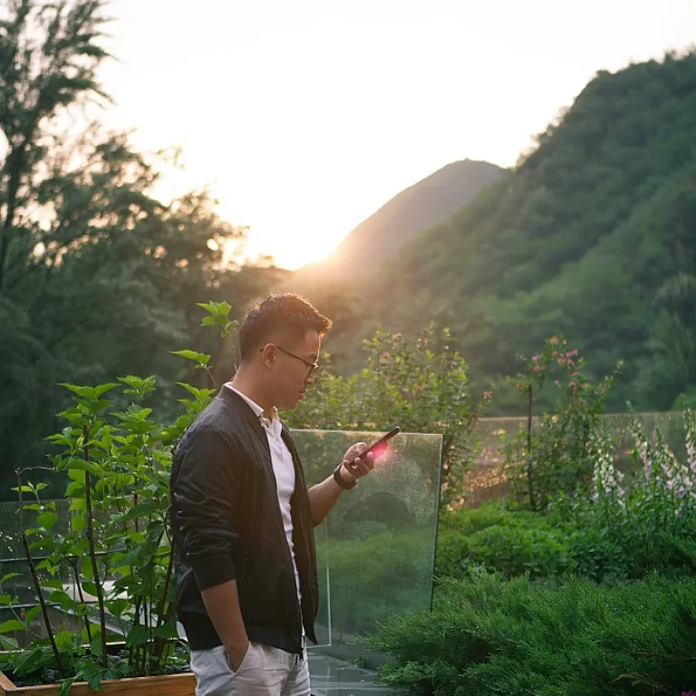 Exploring the best alternatives to Loom for design professionals